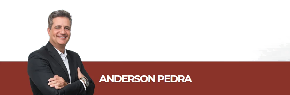 2º Seminário Elo Sul e Sudeste de licitações e contratos 11 anderson pedra sem fundo