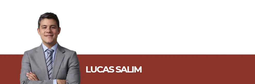 2º Seminário Elo Sul e Sudeste de licitações e contratos 10 lucas salim sem fundo